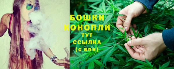 шишки Волоколамск