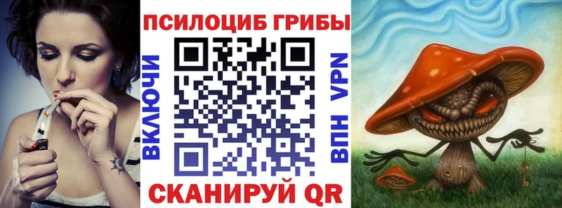 Галлюциногенные грибы Psilocybine cubensis  Калининград 